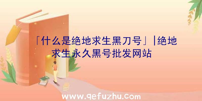 「什么是绝地求生黑刀号」|绝地求生永久黑号批发网站